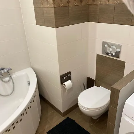 Apartment Nowy Ohivi